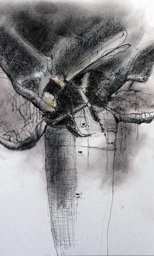 bee5
