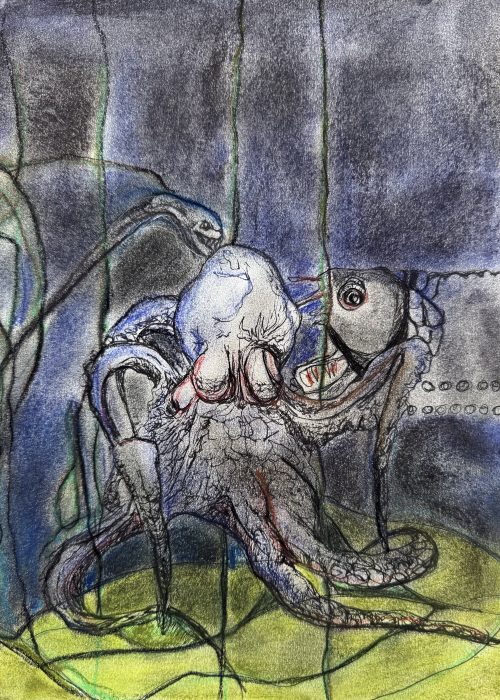 octopus